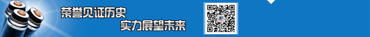 低烟无卤电缆厂家优势