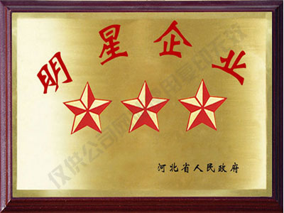 河南明星企业